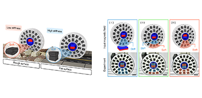 Kyung Hee Researchers Develop Next-Generation Intelligent Material That Adapts to Its Environment